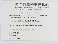 登錄號:F0007175藏品圖，第3張