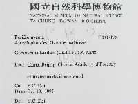 登錄號:F0007176藏品圖，第3張