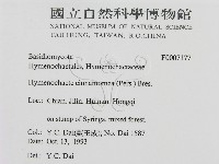 登錄號:F0007177藏品圖，第2張