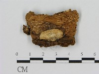 登錄號:F0007177藏品圖，第3張