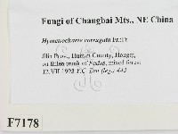 登錄號:F0007178藏品圖，第2張