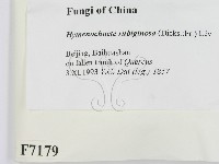 登錄號:F0007179藏品圖，第2張