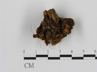 登錄號:F0007179藏品圖，第1張