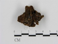 登錄號:F0007179藏品圖，第3張