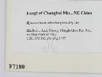 登錄號:F0007180藏品圖，第2張