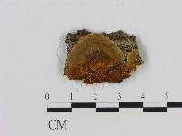 登錄號:F0007180藏品圖，第1張