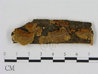 登錄號:F0007181藏品圖，第1張