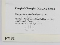 登錄號:F0007182藏品圖，第2張