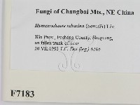 登錄號:F0007183藏品圖，第2張