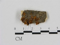 登錄號:F0007183藏品圖，第1張