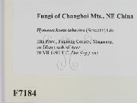 登錄號:F0007184藏品圖，第2張