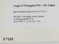 登錄號:F0007185藏品圖，第2張