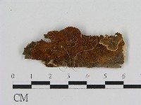 登錄號:F0007185藏品圖，第1張