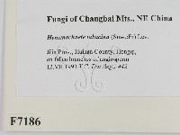 登錄號:F0007186藏品圖，第2張