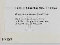 登錄號:F0007187藏品圖，第2張