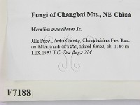 登錄號:F0007188藏品圖，第2張