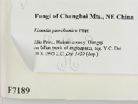 登錄號:F0007189藏品圖，第2張