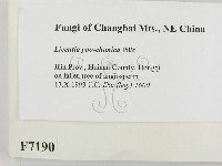 登錄號:F0007190藏品圖，第2張