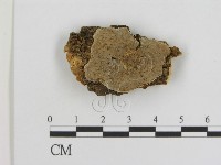 登錄號:F0007190藏品圖，第1張