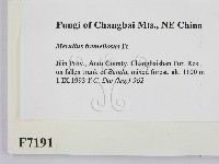 登錄號:F0007191藏品圖，第2張