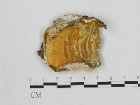 登錄號:F0007191藏品圖，第1張