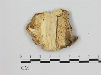 登錄號:F0007191藏品圖，第3張