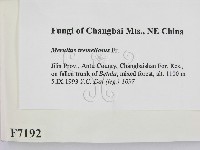 登錄號:F0007192藏品圖，第2張