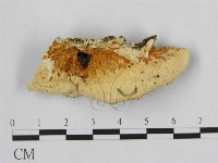 登錄號:F0007192藏品圖，第3張