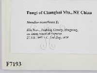 登錄號:F0007193藏品圖，第2張