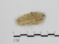 登錄號:F0007193藏品圖，第3張