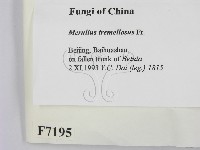 登錄號:F0007195藏品圖，第2張