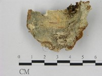 登錄號:F0007195藏品圖，第3張