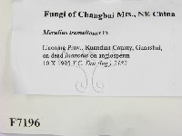 登錄號:F0007196藏品圖，第2張