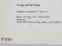 登錄號:F0007197藏品圖，第2張