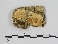 登錄號:F0007197藏品圖，第1張