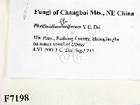 登錄號:F0007198藏品圖，第2張