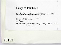 登錄號:F0007199藏品圖，第2張