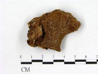 登錄號:F0007199藏品圖，第1張