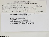 登錄號:F0007200藏品圖，第2張