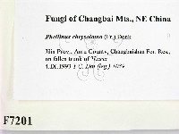 登錄號:F0007201藏品圖，第2張