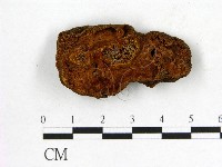 登錄號:F0007201藏品圖，第1張