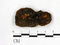 登錄號:F0007201藏品圖，第3張