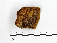 登錄號:F0007202藏品圖，第1張