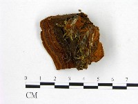 登錄號:F0007202藏品圖，第3張