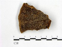 登錄號:F0007203藏品圖，第1張