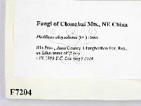 登錄號:F0007204藏品圖，第2張