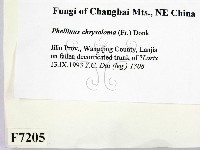 登錄號:F0007205藏品圖，第2張