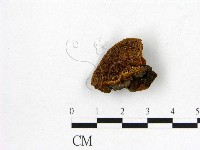 登錄號:F0007205藏品圖，第1張
