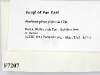 登錄號:F0007207藏品圖，第2張