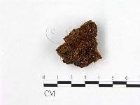 登錄號:F0007207藏品圖，第1張